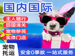 大连周水子航空快递国际宠物托运 【国
